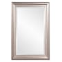 Howard Elliott George 24" W x 36" H Rectangular Wood Framed Bathroom Mirror Bright Silver Leaf