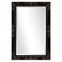 Howard Elliott Queen Ann 24" W x 36" H Rectangular Wood Framed Bathroom Mirror Antique Black