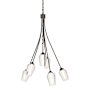 Hubbardton Forge Flora 6 Light 24" Wide Chandelier Bronze / Seedy