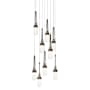 Oil Rubbed Bronze / Clear