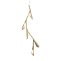 Soft Gold / Soft Gold