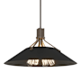 Hubbardton Forge Henry 4 Light 24" Wide Pendant Bronze / Black