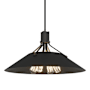 Hubbardton Forge Henry 4 Light 24" Wide Pendant Black / Black