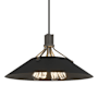 Hubbardton Forge Henry 4 Light 24" Wide Pendant Natural Iron / Black