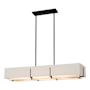 Hubbardton Forge Exos 4 Light 47" Wide Linear Chandelier Black / Flax