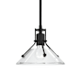 Hubbardton Forge Henry 10" Wide Mini Pendant Black / Clear