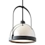 Hubbardton Forge Atlas 14" Wide Pendant Black / Sterling