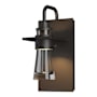 Hubbardton Forge Erlenmeyer 10" Tall Outdoor Wall Sconce Coastal Oil Rubbed Bronze