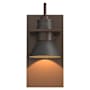 Hubbardton Forge Erlenmeyer 11" Tall Outdoor Wall Sconce Coastal Bronze / Coastal Natural Iron