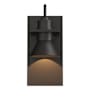 Hubbardton Forge Erlenmeyer 11" Tall Outdoor Wall Sconce Coastal Oil Rubbed Bronze / Oil Rubbed Bronze