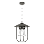 Coastal Natural Iron / Clear