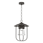 Coastal Oil Rubbed Bronze