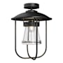 Hubbardton Forge Erlenmeyer 12" Wide Semi-Flush Outdoor Ceiling Fixture Coastal Black