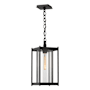 Hubbardton Forge Cela 8" Wide Outdoor Mini Pendant Coastal Black / Clear
