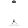 Hubbardton Forge Henry 15" Wide Outdoor Pendant Coastal Natural Iron / Frosted