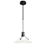 Hubbardton Forge Henry 15" Wide Outdoor Pendant Coastal Black / Frosted