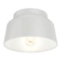 Hunter Cranbrook 12" Wide Flush Mount Ceiling Fixture Dove Grey
