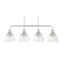 Hunter Cypress Grove 4 Light 33" Wide Linear Chandelier Brushed Nickel