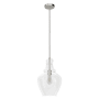 Hunter Maple Park 12" Wide Pendant Brushed Nickel
