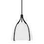 Hunter Arcelia 12" Wide Pendant Matte Black