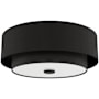 Hunter Brookside 2 Light 13" Wide Flush Mount Drum Ceiling Fixture Matte Black