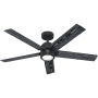 Hunter Erling 52" 5 Blade Indoor LED Energy Star Ceiling Fan Matte Black