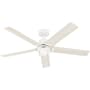 Hunter Erling 52" 5 Blade Indoor LED Energy Star Ceiling Fan Fresh White