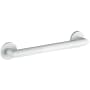 ICO Bath Summit 18" Grab Bar Matte White