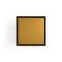 Polished Brass