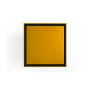 Polished Gold