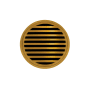 Polished Gold