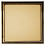 Polished Gold