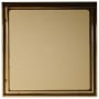 Polished Brass