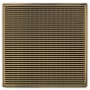 Polished Brass