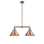 Innovations Lighting Briarcliff 2 Light 21" Wide Linear Chandelier / Semi-Flush Ceiling Fixture Antique Copper