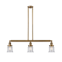 Innovations Lighting Small Canton 3 Light 39" Wide Linear Chandelier Brushed Brass / Seedy