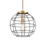Innovations Lighting Lake Placid 16" Wide Cage Pendant with Shade Brushed Brass / Matte Black