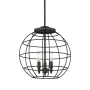 Innovations Lighting Lake Placid 3 Light 16" Wide Cage Pendant Matte Black / Matte Black