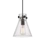 Innovations Lighting Newton Cone 8" Wide Mini Pendant Matte Black / Seedy
