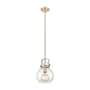 Innovations Lighting Newton Sphere 1 Light 8" Wide Mini Pendant Champagne Bronze / Seedy