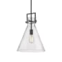 Innovations Lighting Newton Cone 14" Wide Pendant Matte Black / Seedy