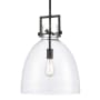 Innovations Lighting Newton Bell 14" Wide Pendant with Glass Shade Matte Black
