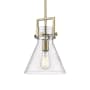 Innovations Lighting Newton Cone 10" Wide Pendant Brushed Brass / Seedy