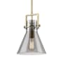 Innovations Lighting Newton Cone 10" Wide Pendant Brushed Brass / Plated Smoke