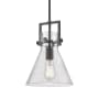 Innovations Lighting Newton Cone 10" Wide Pendant Matte Black / Seedy