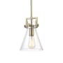 Innovations Lighting Newton Cone 8" Wide Mini Pendant Brushed Brass / Seedy