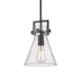Innovations Lighting Newton Cone 8" Wide Mini Pendant Matte Black / Seedy