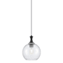 Innovations Lighting Astor 10" Wide Pendant Matte Black / Seedy