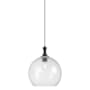 Innovations Lighting Astor 14" Wide Pendant Matte Black / Seedy