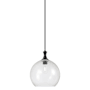 Innovations Lighting Astor 14" Wide Pendant Matte Black / Seedy